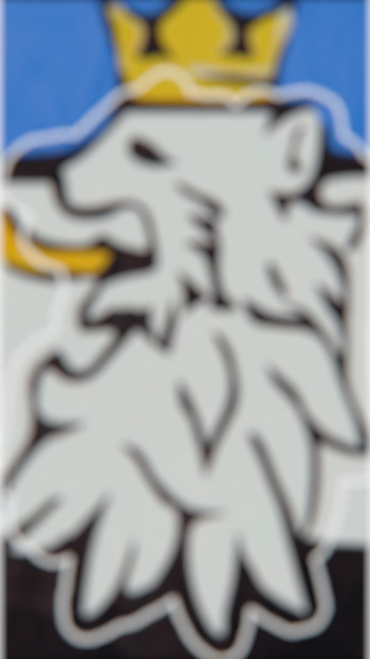 Legacy in Every Stitch: The Story Behind  R10's the Lion Emblem