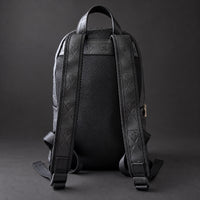Rear view of the R10 backpack showing its mesh back panel, shoulder straps, top handle, and adjustment buckles.